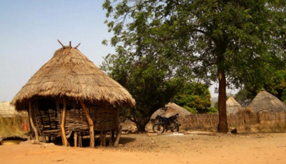 African Small sweet homes.
