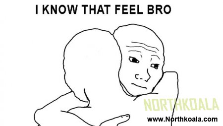 i know that feel bro.