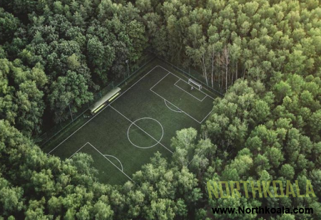Stadium in forest