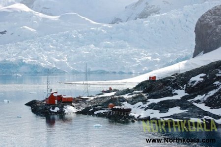 Top best things you need to know about Antarctica